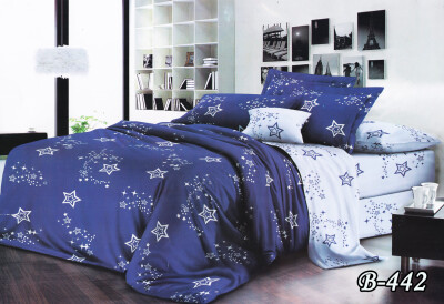 Постільна білизна двоспальна "Космос" B-442